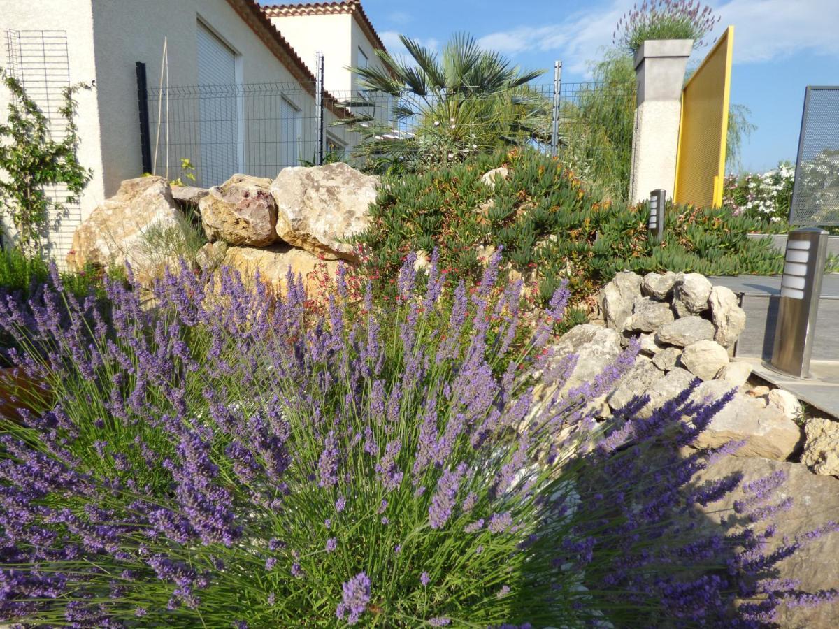 La Villa Du Saule Salles-dʼAude Buitenkant foto